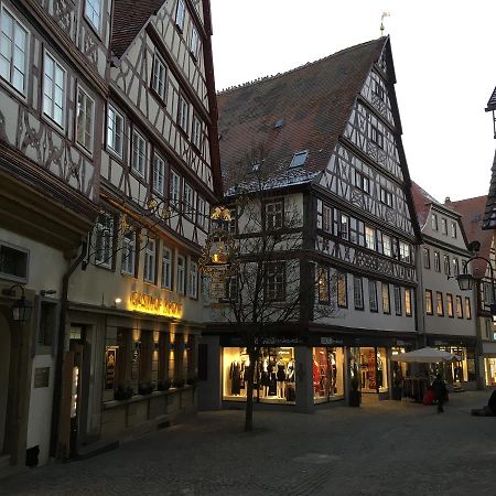 Brauereigasthof Krone エーリンゲン エクステリア 写真